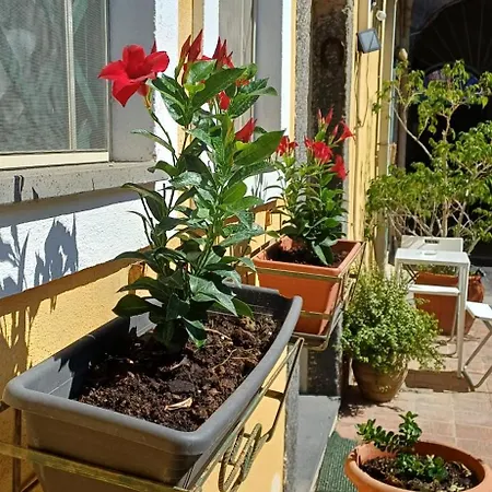 A Casa Di Bert - Apartment