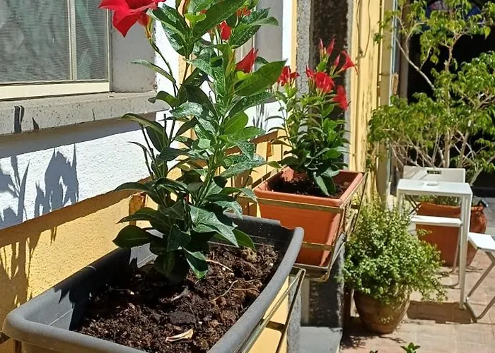 A Casa Di Bert - 公寓